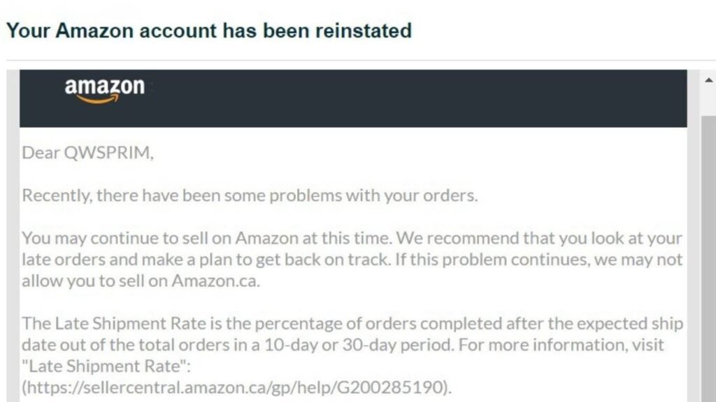 Limsho Amazon Seller Account Deactivated Services
