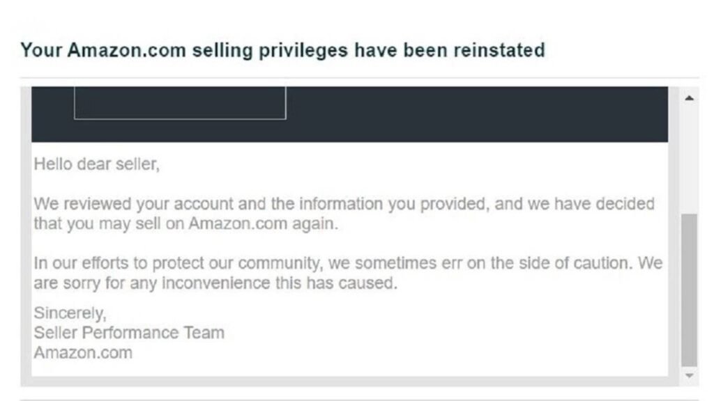 Limsho Amazon Seller Account Deactivated Services