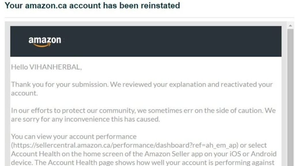 Limsho Amazon Seller Account Deactivated Services
