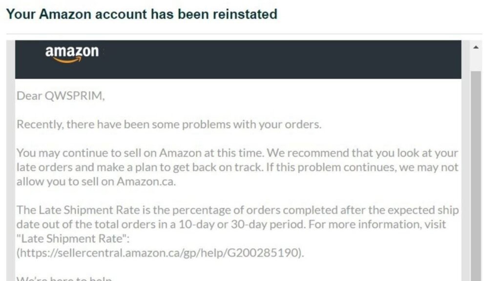 Limsho Amazon Seller Account Deactivated Services